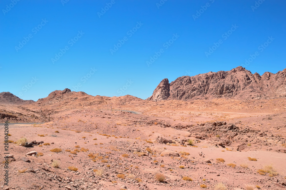 desert landscape, mountains of red sandstone, a plain covered with rare desert vegetation, a stretch of road with telegraph poles against the background of a cloudless blue sky desert landscape, mountains of red sandstone, a plain covered with rare desert vegetation, a stretch of road with telegraph poles against the background of a cloudless blue sky