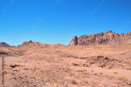desert landscape, mountains of red sandstone, a plain covered with rare desert vegetation, a stretch of road with telegraph poles against the background of a cloudless blue sky