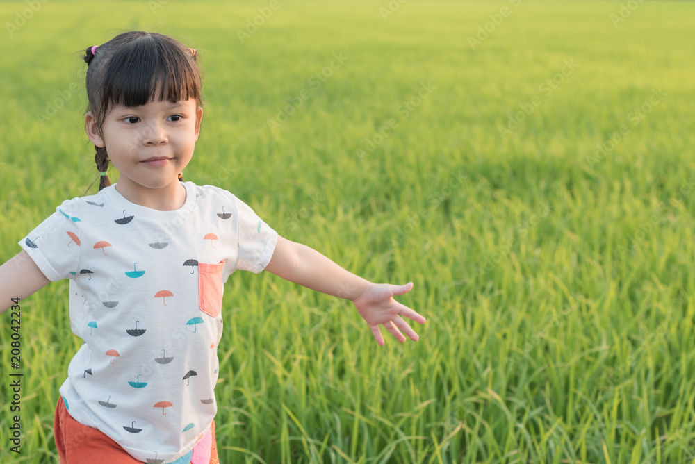 open arms little happy girl green meadow rice field open arms little happy girl green meadow rice field