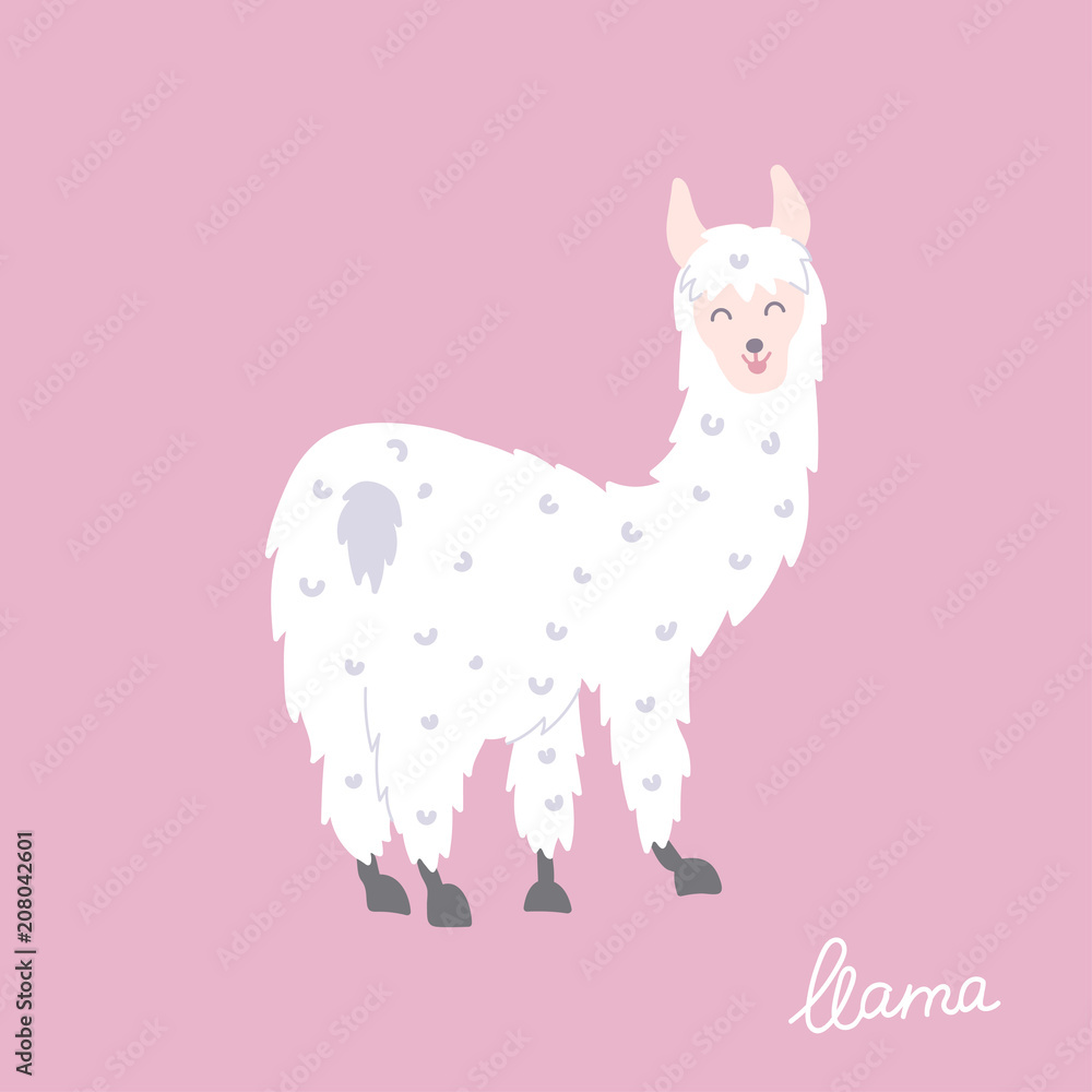 Fototapeta premium Vector illustration of llama