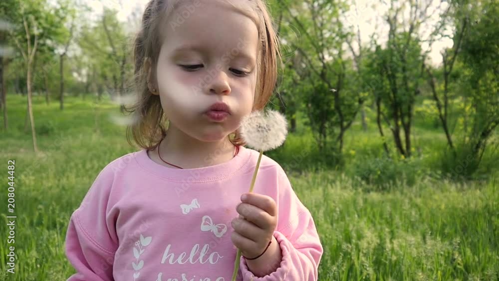 Cute child girl portrait in park play blow a dandelion blowball flower in slow motion Cute child girl portrait in park play blow a dandelion blowball flower in slow motion