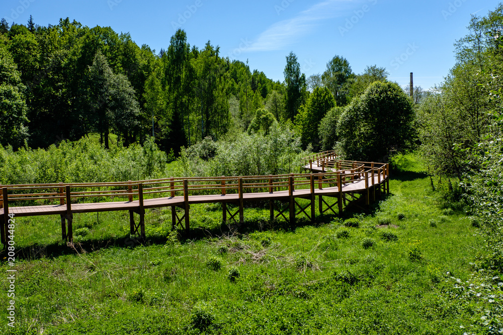 wooden boardwalk in green meadow area