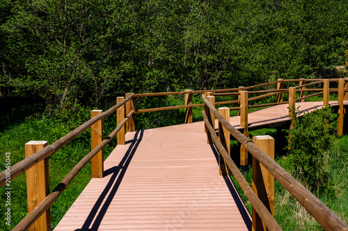 wooden boardwalk in green meadow area © Martins Vanags
