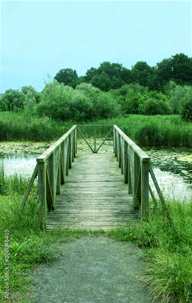 Wooden path