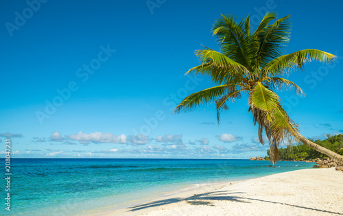 Tropical island beach. Perfect vacation background.