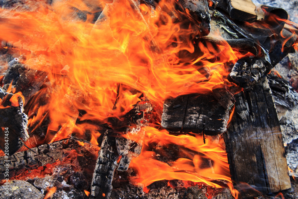 Firewood burning in the fire. A flame burning over the coals. Firewood burning in the fire. A flame burning over the coals.
