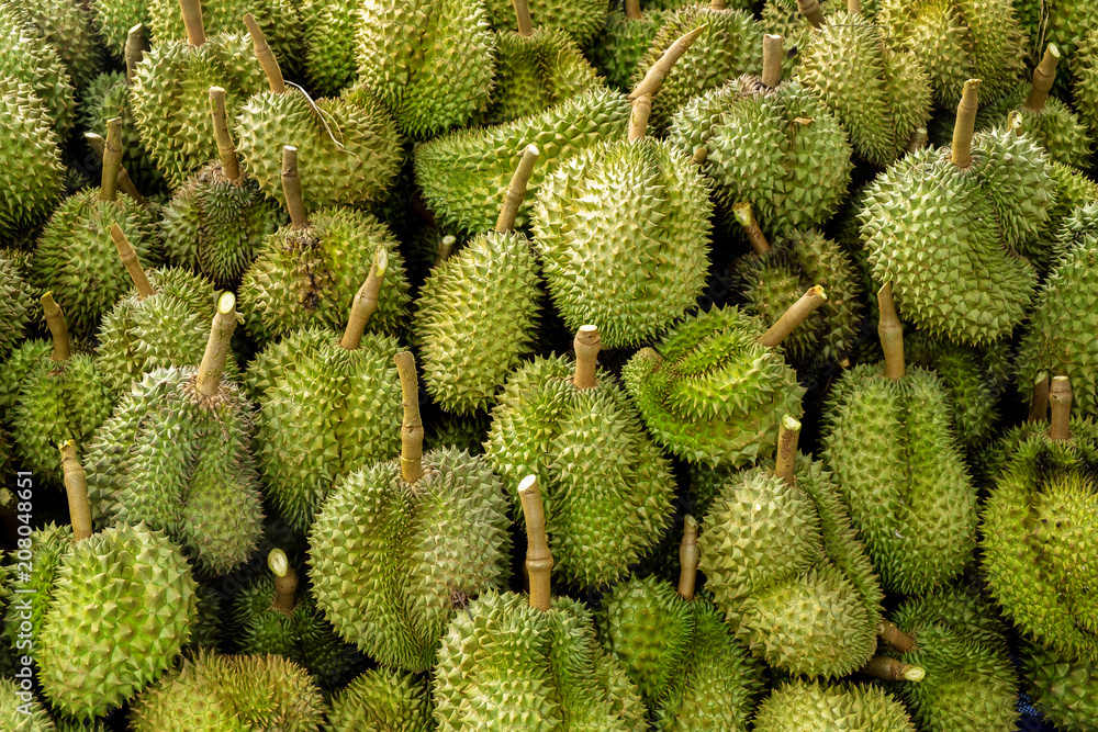 Group of High Quality Beautiful Durian Ripe in the Market. Group of High Quality Beautiful Durian Ripe in the Market.