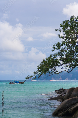 The beautiful sea with the tree and rock