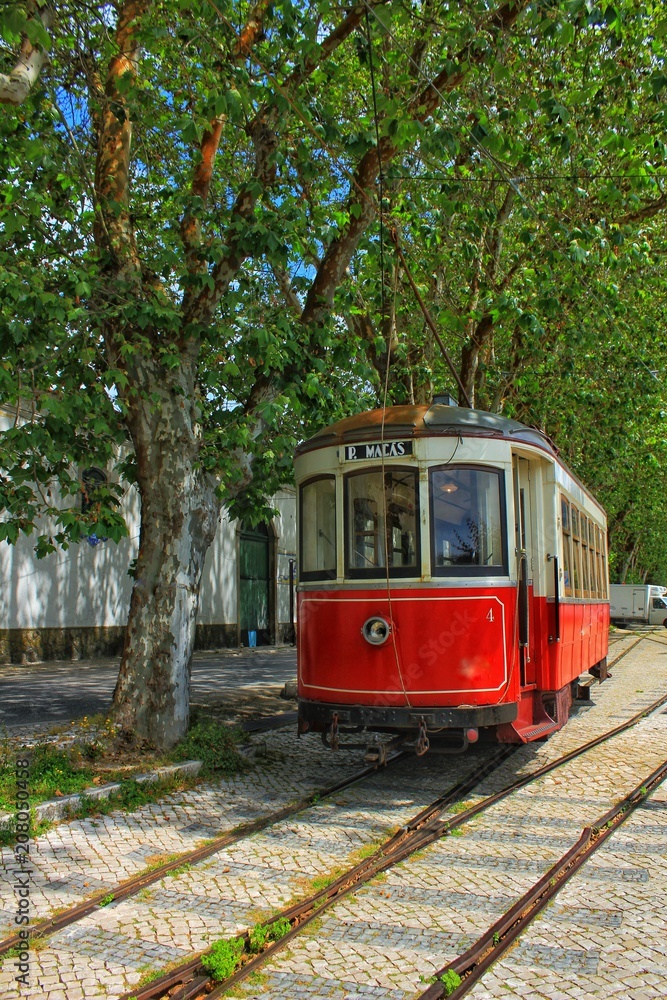 Colorful tram through the streets of Sintra, Lisbon in Spring