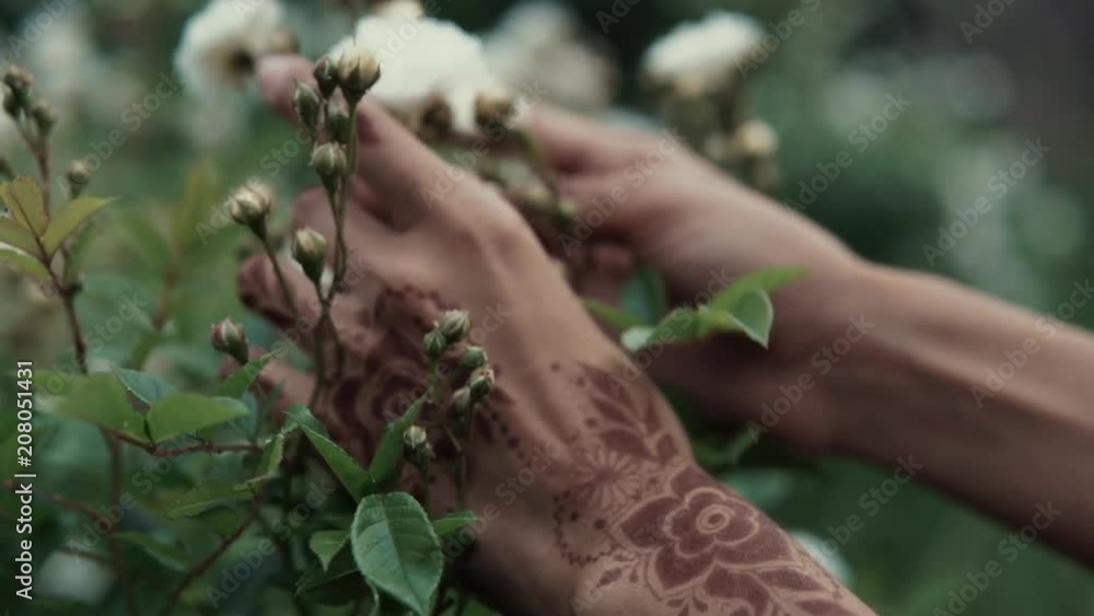 Close-up of hands of woman, stroking small white flowers and blossoms. Skin is decorated by oriental traditional henna ornament Close-up of hands of woman, stroking small white flowers and blossoms. Skin is decorated by oriental traditional henna ornament