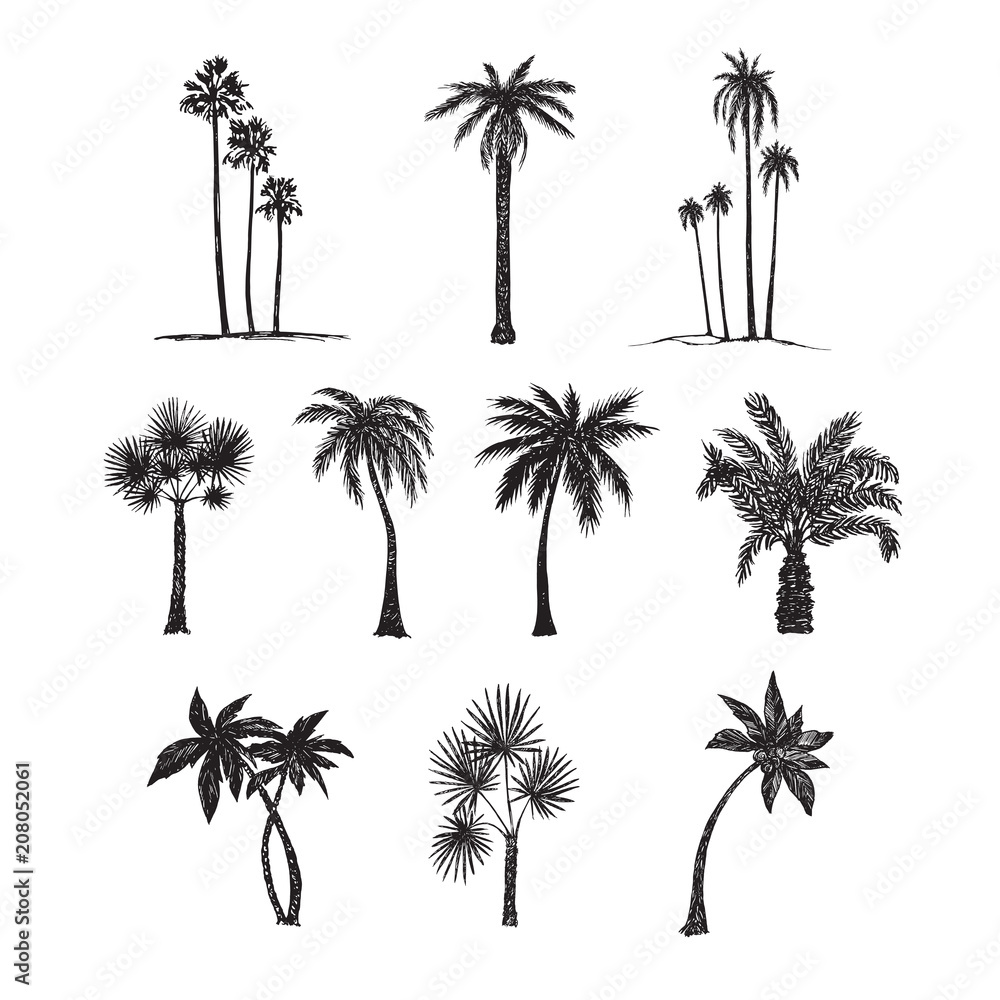 Naklejka premium Palm trees silhouette collection, hand drawn doodle sketch, black and white vector illustration