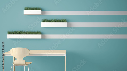 Minimalist architect designer concept, table desk and chair, kitchen or office with shelves with grass vases on blue background, interior design idea with copy space