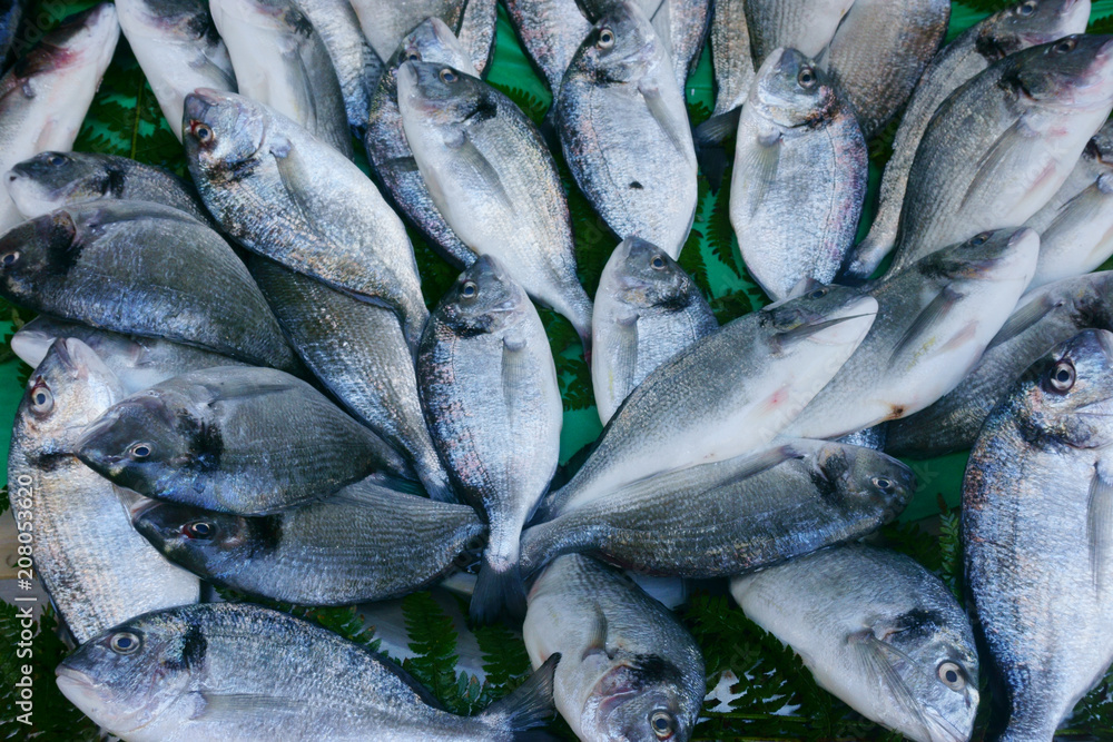 Obraz premium fresh seafood, fish on the market