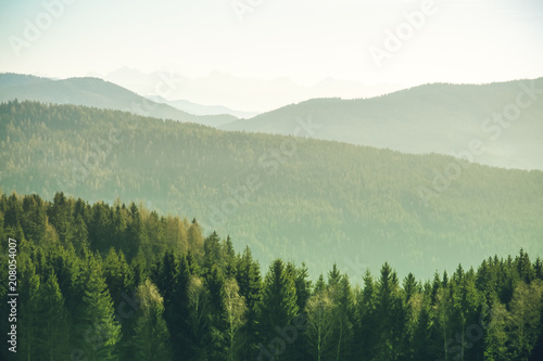 Mountain landscape with spruce and pine trees in the Austrian Alps during a bright sunny day in Winter time. Distant mountains and mountain chains fade out with lighter color tones.