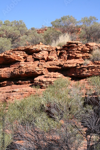 view from the upper edge of the kings canyon, watarrka national park photo