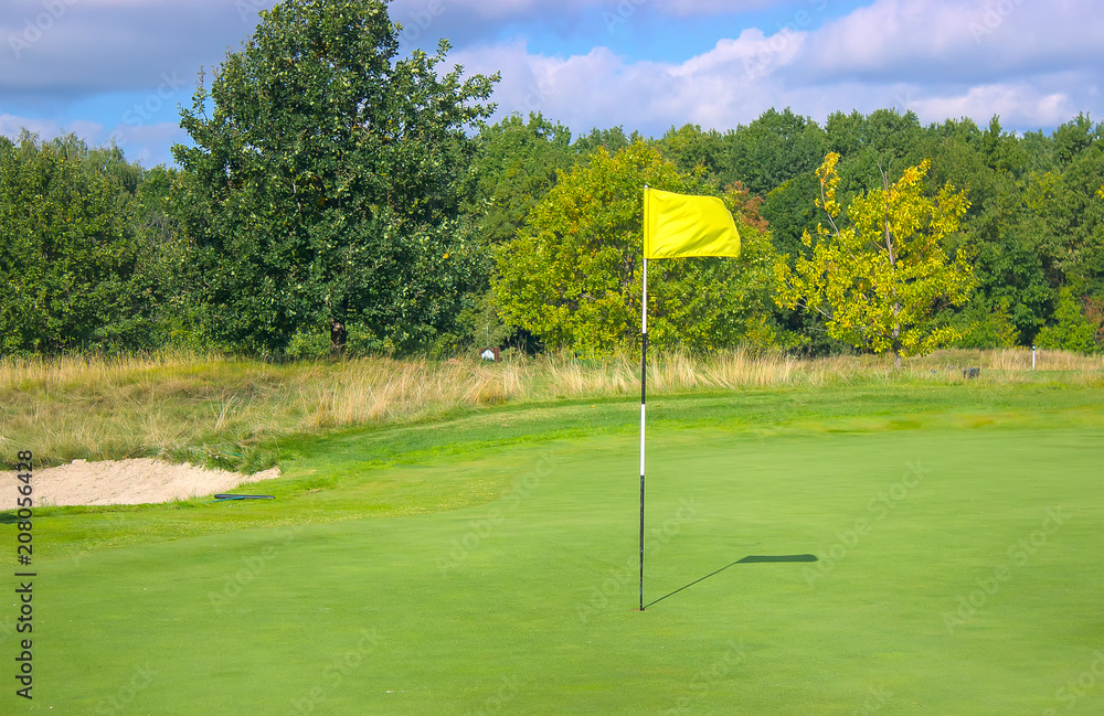 Obraz premium Golf field near the forest