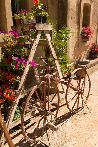 Retro bicycle coded with flowers on a sunny day