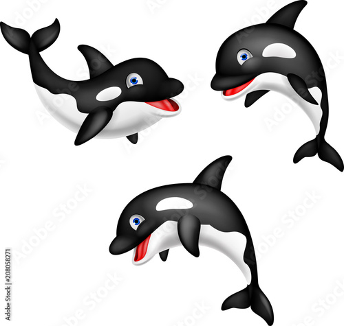 Cartoon orca collection set
