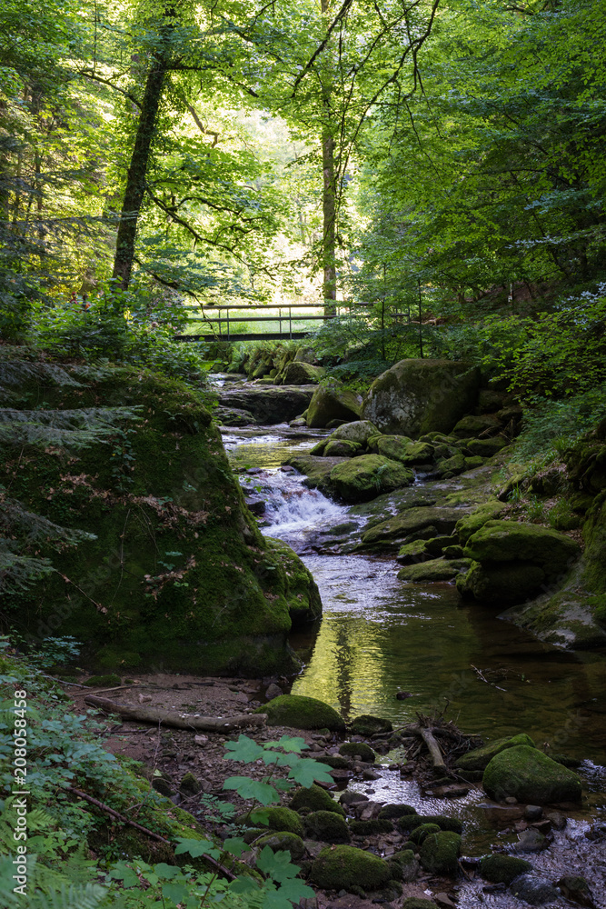 Geroldsau, Wasserfall, Bach Geroldsau, Wasserfall, Bach