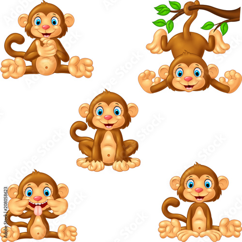 Cartoon monkey collection set