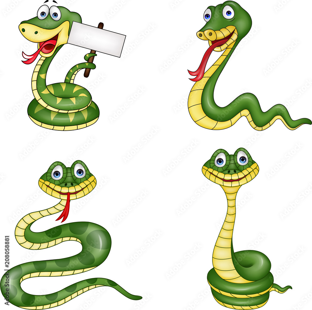 Fototapeta premium snake collection set