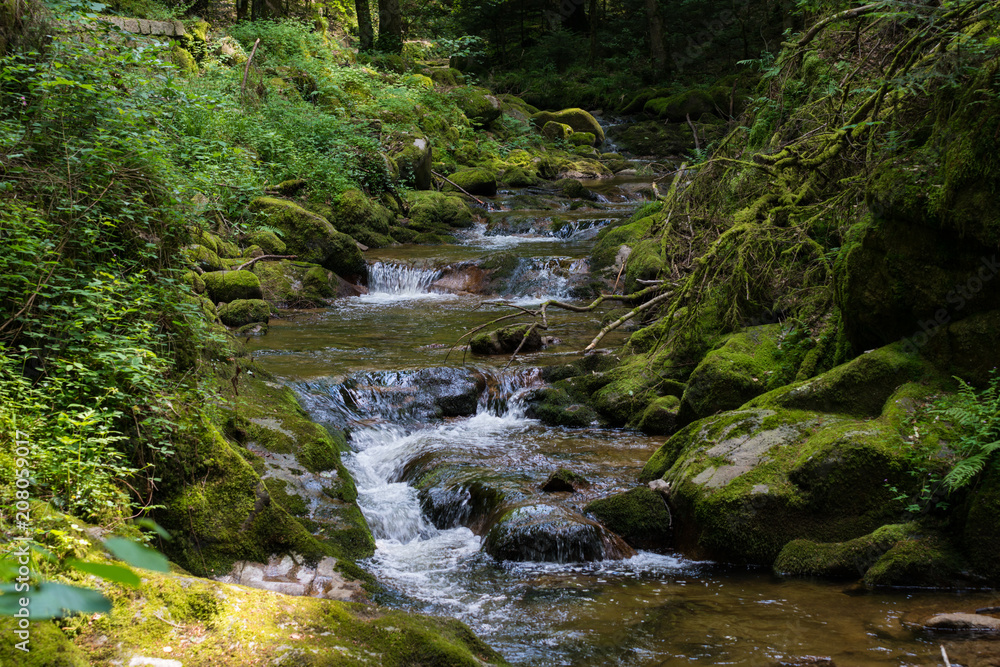 Geroldsau, Wasserfall, Bach Geroldsau, Wasserfall, Bach