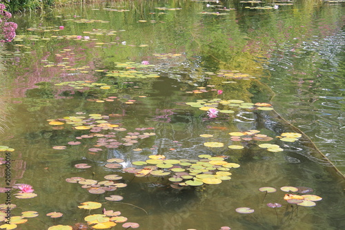 laghetto di monet