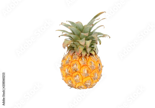 Pineapple whole small