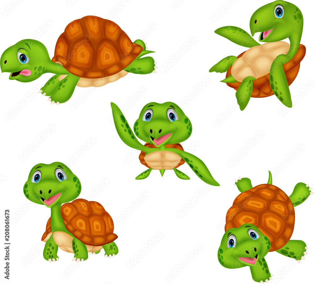 Obraz premium Cartoon turtle collection set