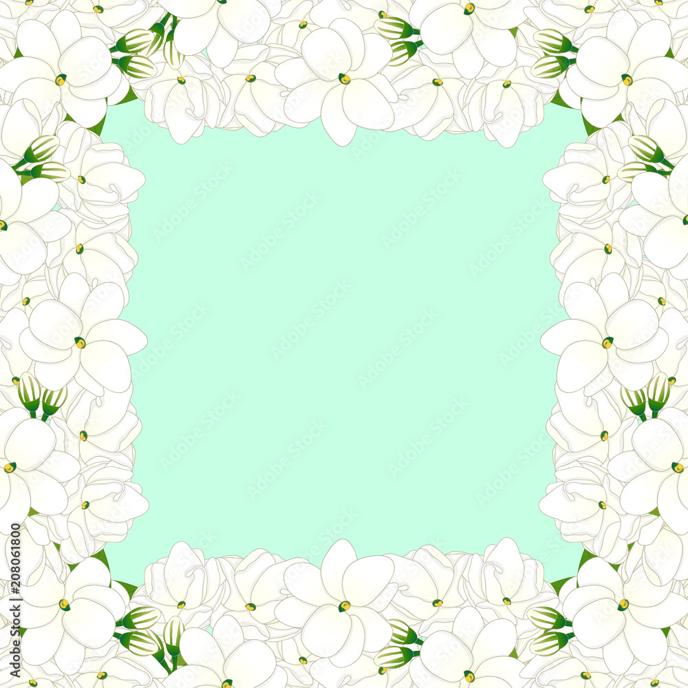 Arabian jasmine Border on Green Mint Background