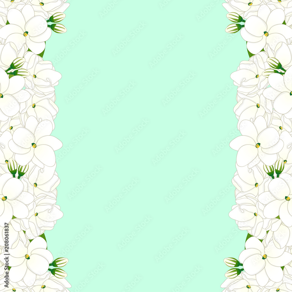 Arabian jasmine Border on Green Mint Background Arabian jasmine Border on Green Mint Background