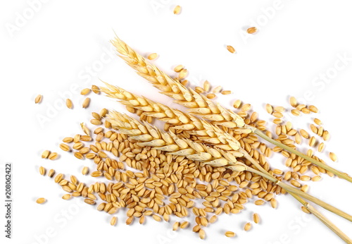 Wheat ears and seeds isolated on white background, top view