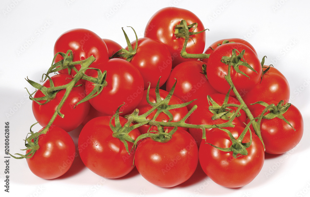 Tomato. Tomato branch. Tomatoes isolated on white.
Tomato. Tomato branch. Tomatoes isolated on white.