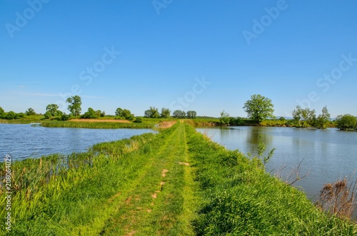 Beautiful spring landscape. Path on the grass between the ponds in the countryside.