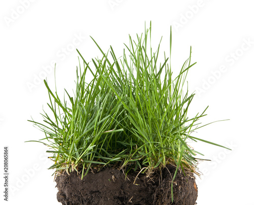 soil and grass isolated on a black background