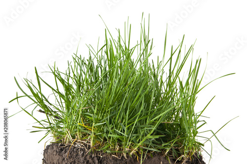 soil and grass isolated on a black background