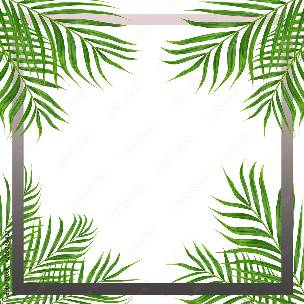 frame picture with green leaf of palm tree background frame picture with green leaf of palm tree background
