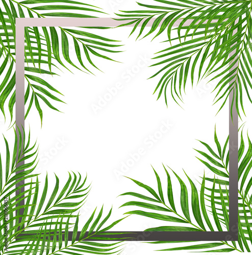 frame picture with green leaf of palm tree background