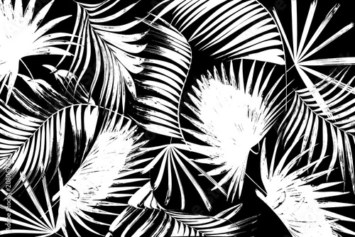 Wallpaper Mural black leaves of palm tree on white background Torontodigital.ca