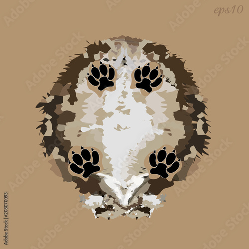 Shaggy dog bottom view
Abstract composition style pop art trunk fluffy animal four black paws

