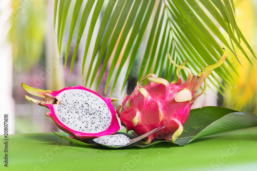 Fresh, tasty tropic, exotic dragon pitahya dragon fruit near palms photo