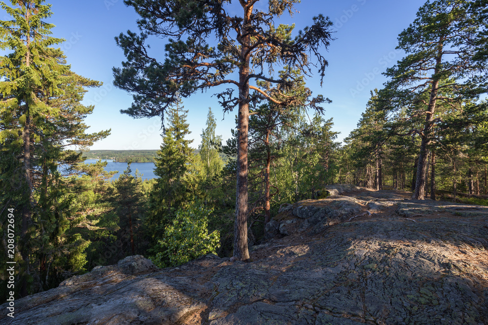 Fototapeta premium Lake and lush forest viewed from the rocky hilltop of Pirunvuori (