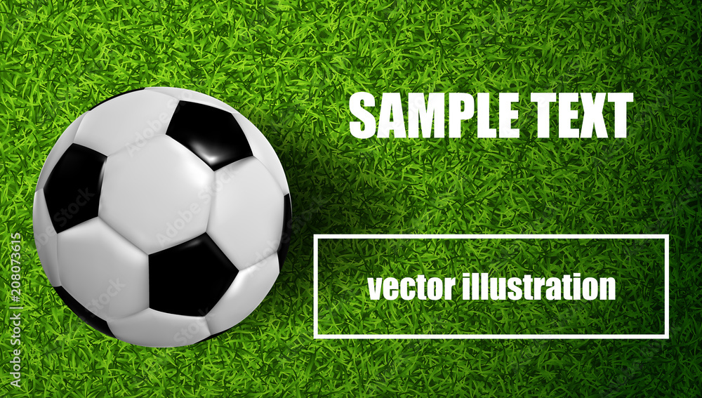 Obraz premium Football illustration on the lawn with ball