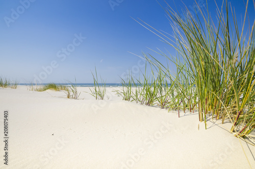 Dzika bałtycka plaża w Białogórze © Dejan Gospodarek