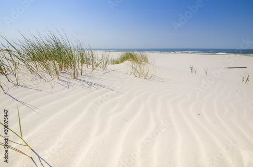 Obraz Dzika bałtycka plaża w Białogórze