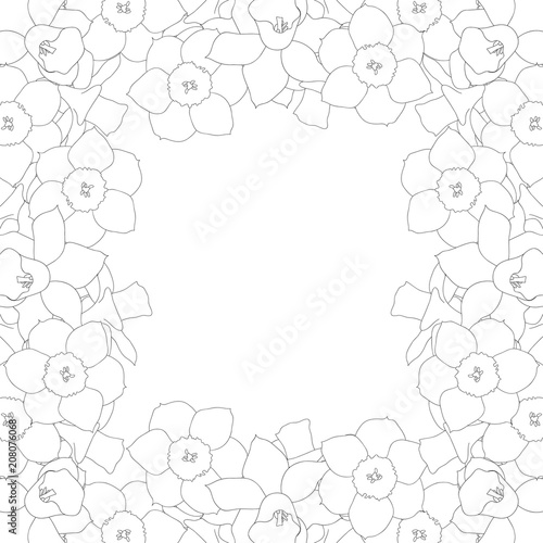 Fototapeta Naklejka Na Ścianę i Meble -  Daffodill - Narcissus Outline Border on White Background