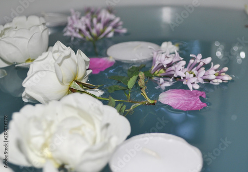 beautiful flowers and water