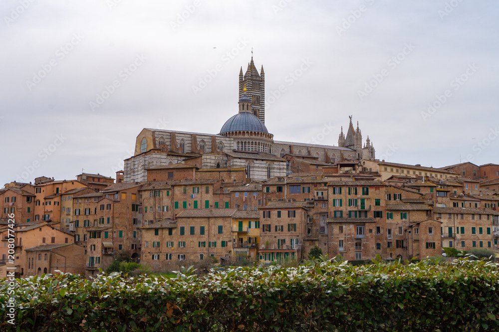 view of  Cathedal of Siena from the Basilica of Saint Domenico in Siena