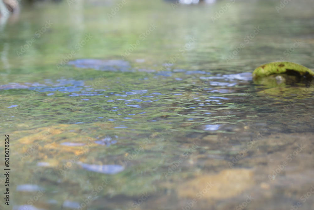 Natural stream water Natural stream water