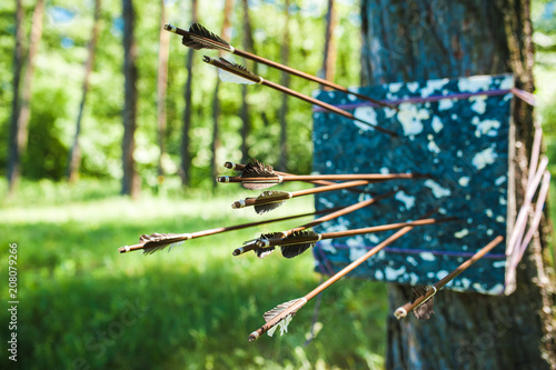 Archery target and arrows. photo